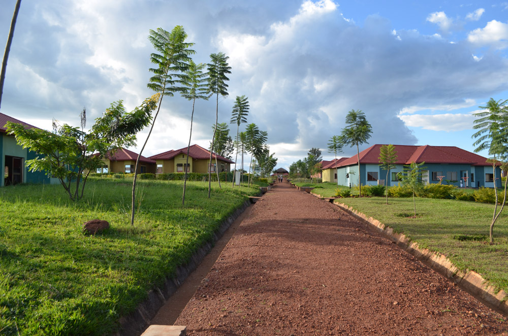 Rwanda’s Road to Recovery