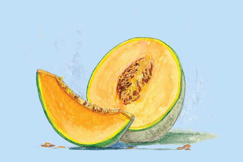 Round as a Melon